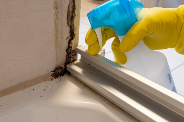 Best Mold Remediation for Healthcare Facilities  in Oak Grove, VA